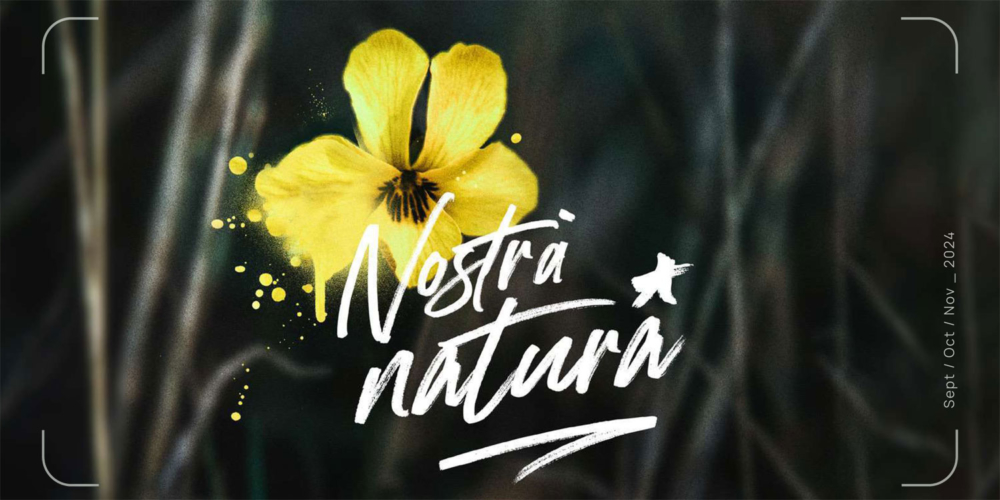 Street Art et biodiversité : Nostrà Natura